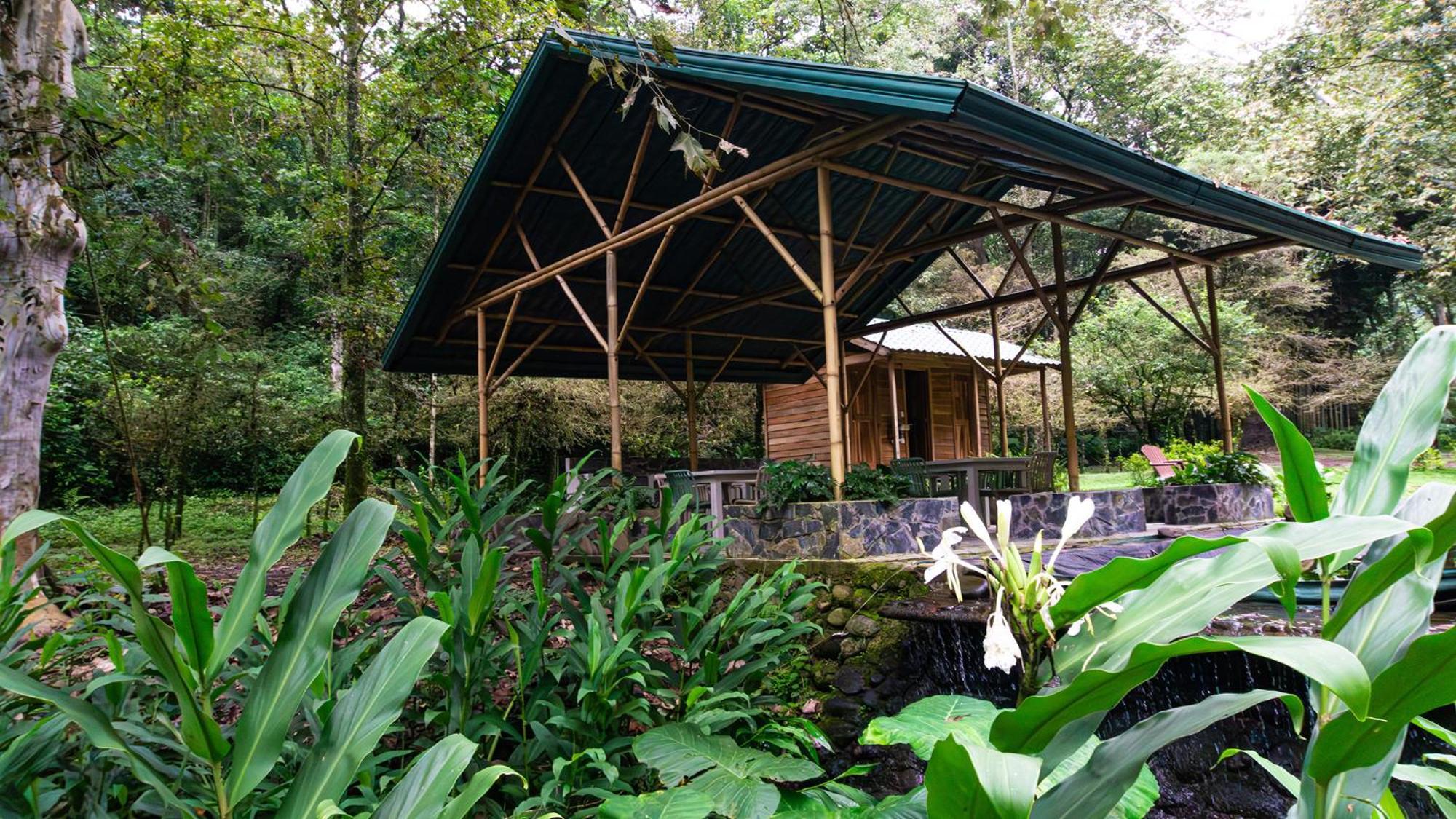 Boscana Forest Resort & Residence Coscomatepec de Bravo Kültér fotó